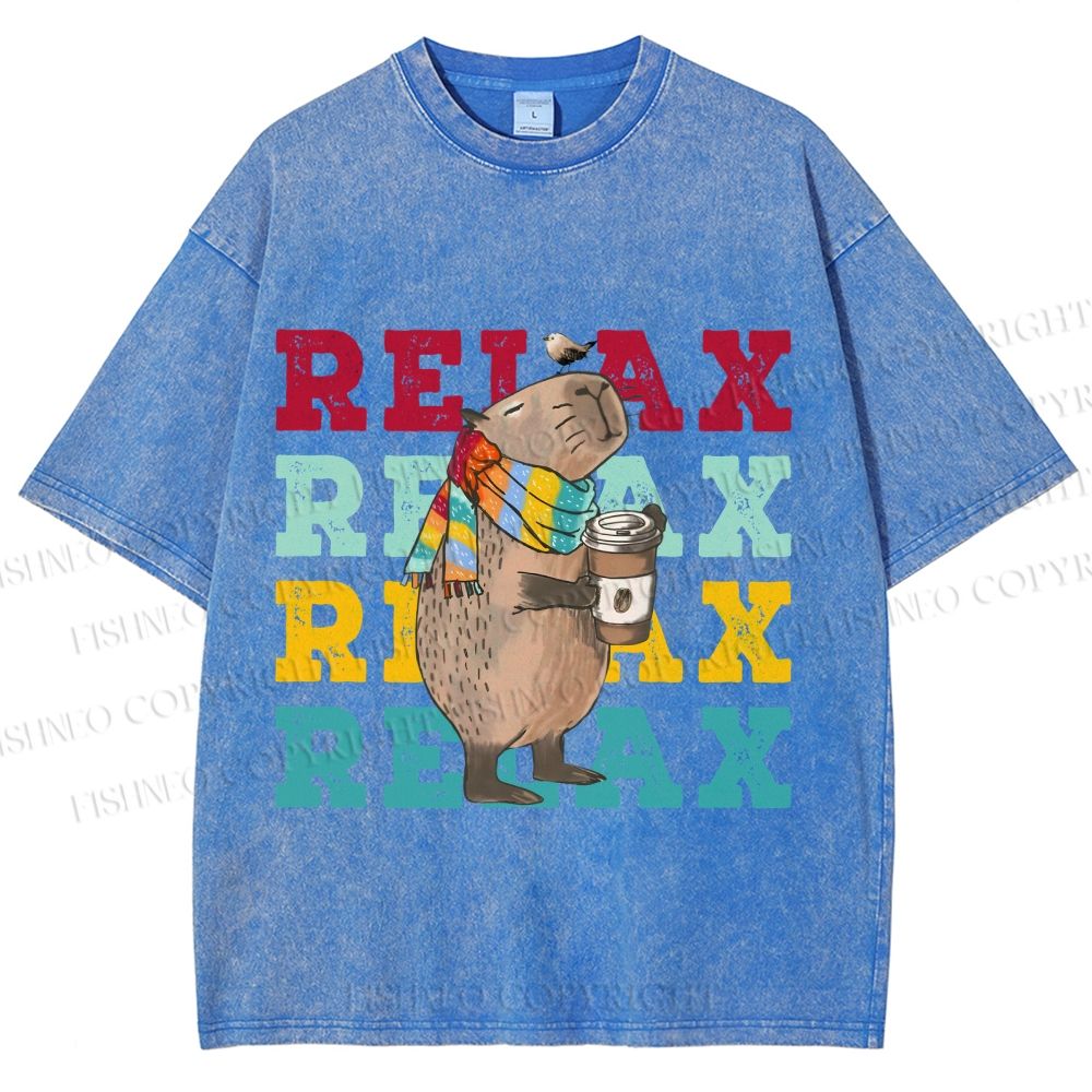 Unisex Chilling Capybara Relax Autumn Printed Washed Tee