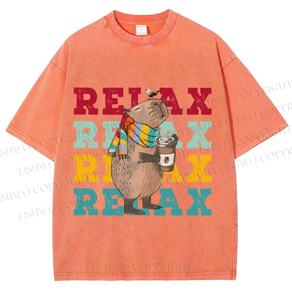 Unisex Chilling Capybara Relax Autumn Printed Washed Tee