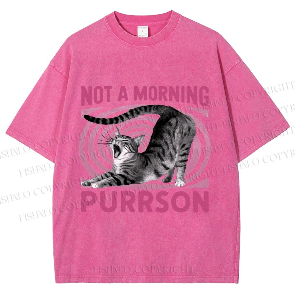 Unisex Lazy Cat Not A Morning Purrson Printed Washed Tee