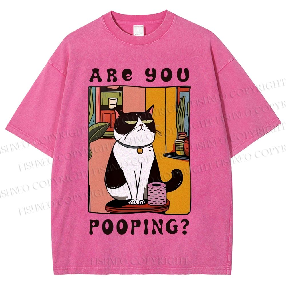 Unisex Silly Cat Are You Pooping Printed Washed Tee
