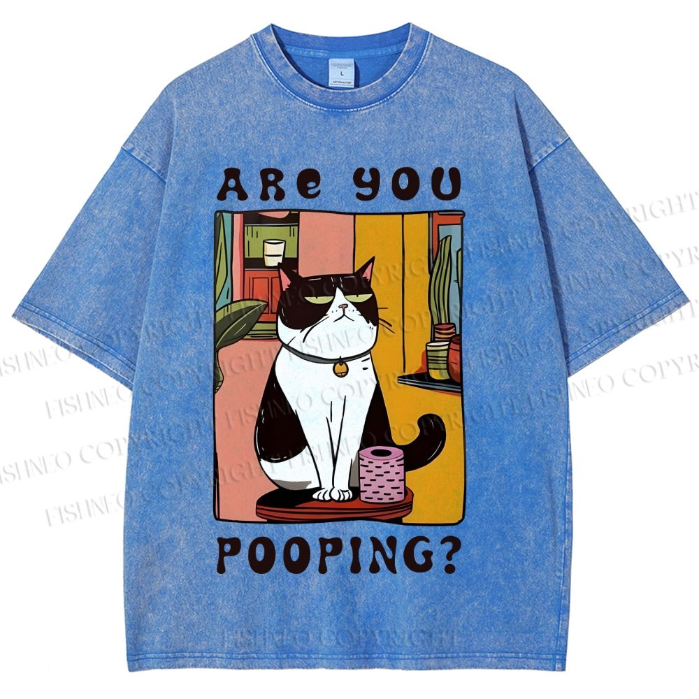 Unisex Silly Cat Are You Pooping Printed Washed Tee