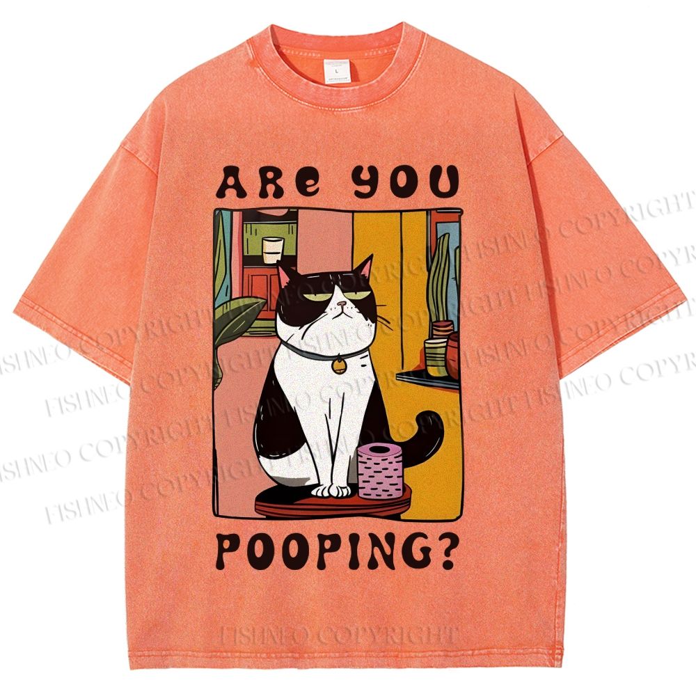 Unisex Silly Cat Are You Pooping Printed Washed Tee