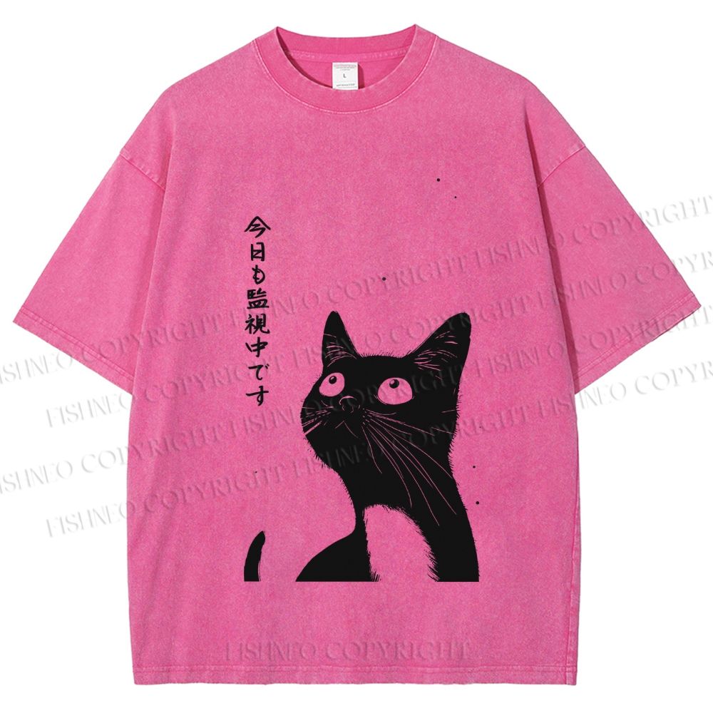 Unisex The Cat is Watching Today Printed Washed Tee