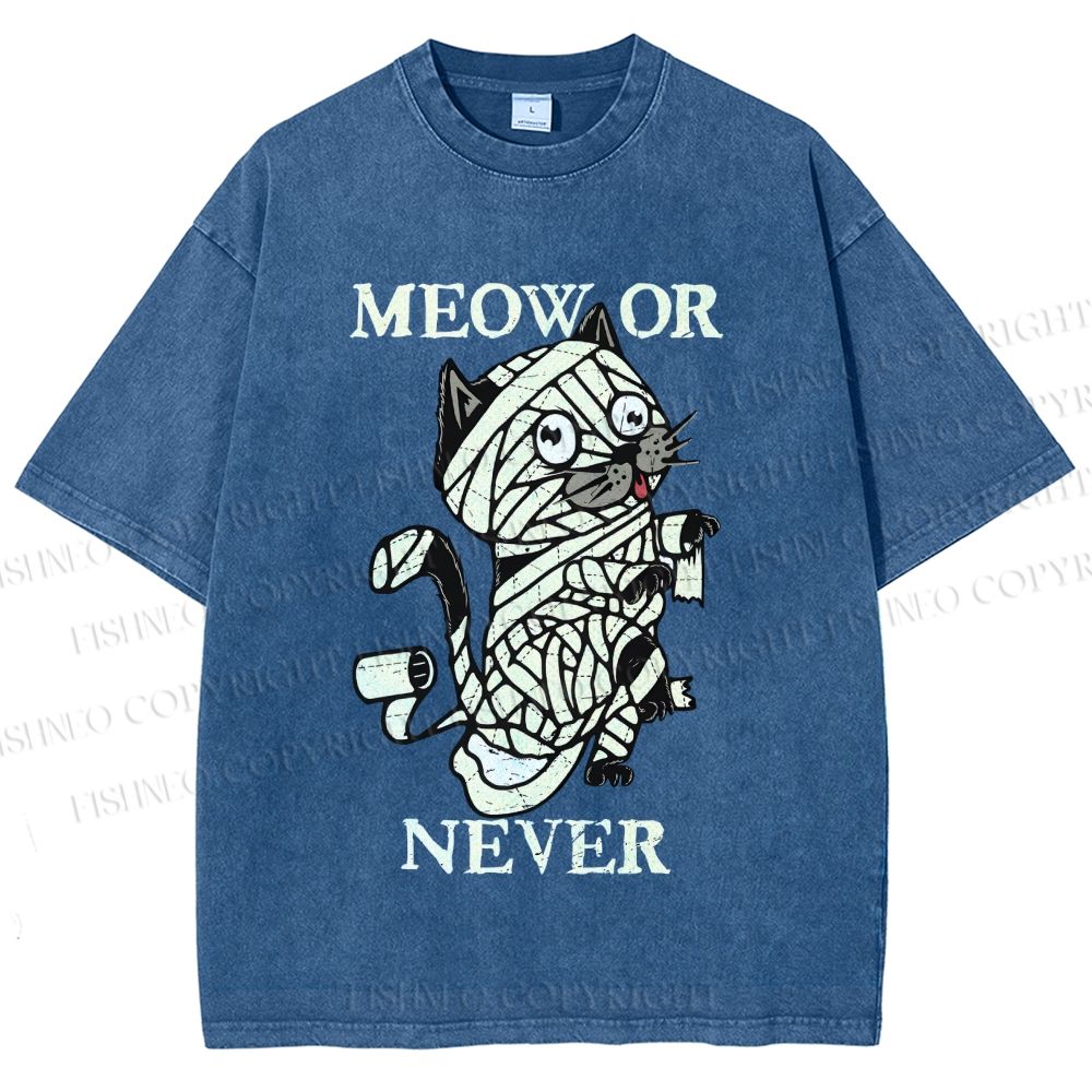 Unisex Meow Or Never Cat Printed Washed Tee