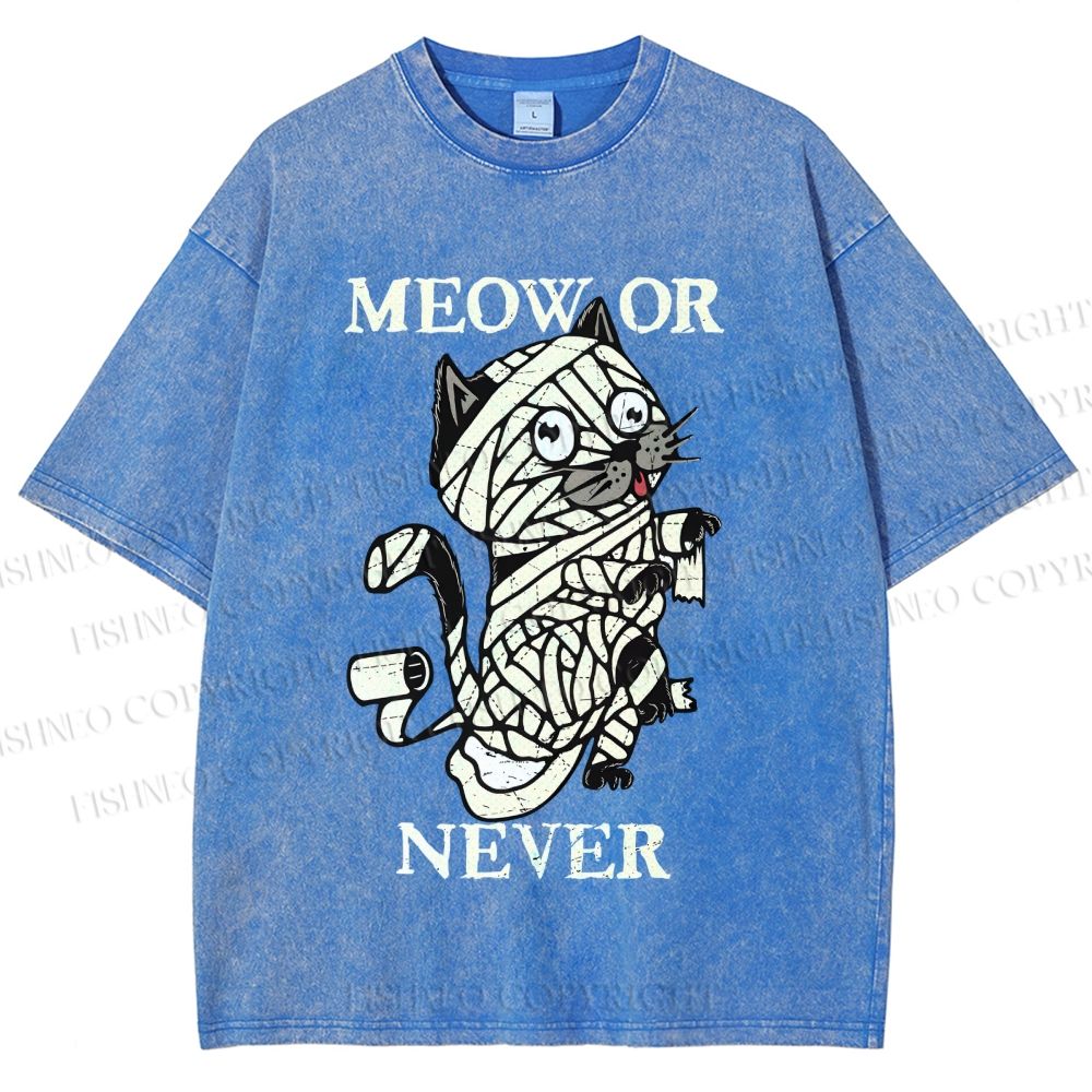 Unisex Meow Or Never Cat Printed Washed Tee