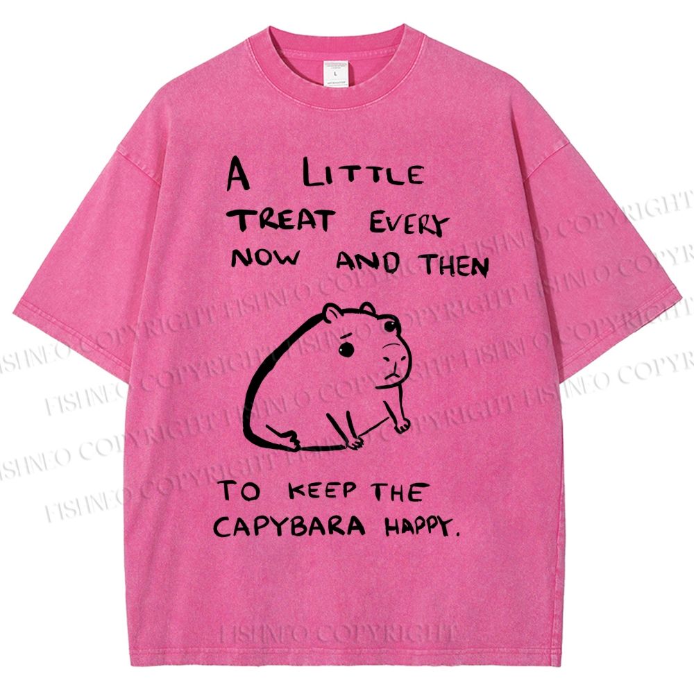 Unisex Simple Capybara Printed Washed Tee