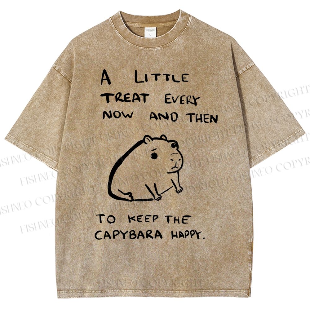 Unisex Simple Capybara Printed Washed Tee