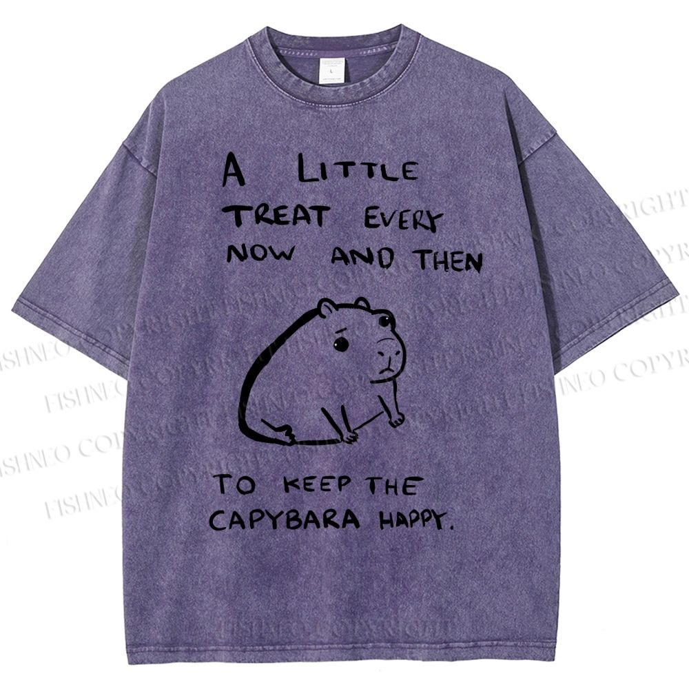 Unisex Simple Capybara Printed Washed Tee