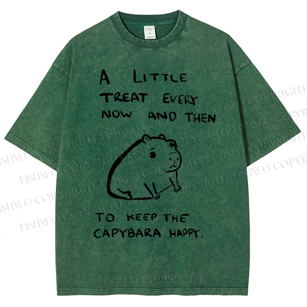 Unisex Simple Capybara Printed Washed Tee