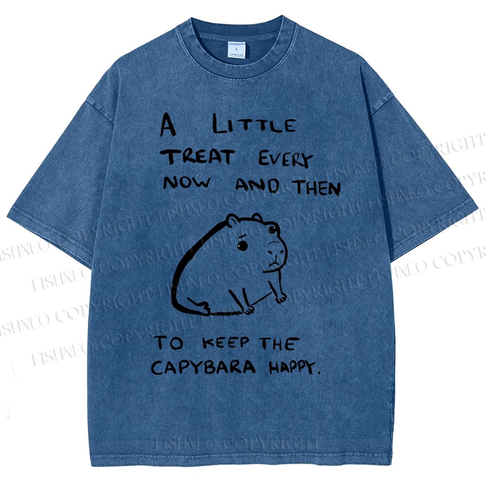 Unisex Simple Capybara Printed Washed Tee