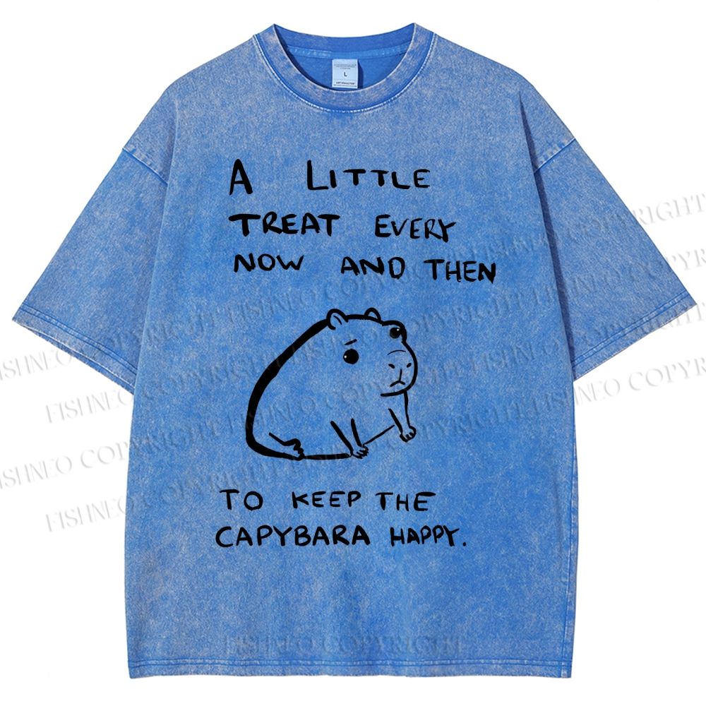 Unisex Simple Capybara Printed Washed Tee