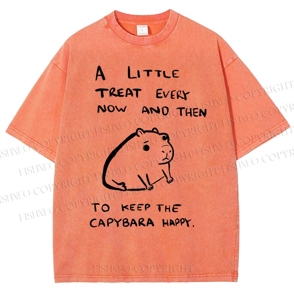 Unisex Simple Capybara Printed Washed Tee