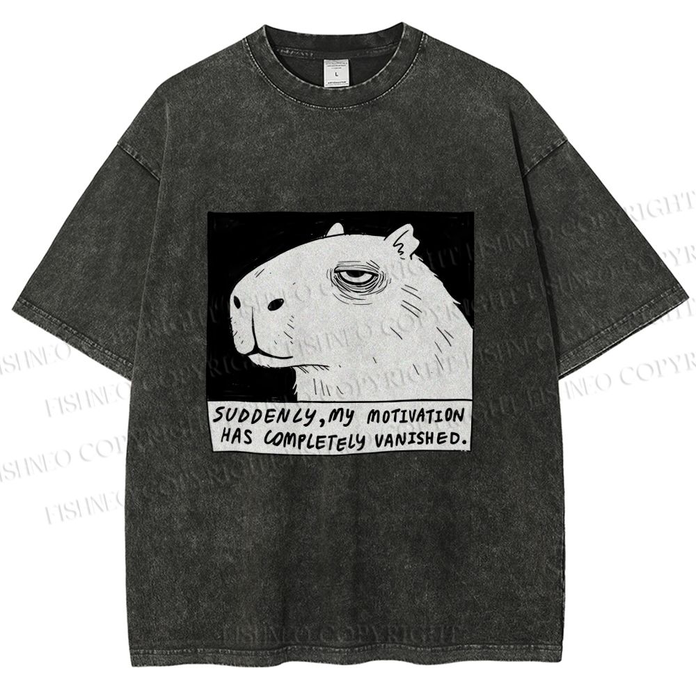 Unisex Power Has Completely Disappeared Printed Washed Tee