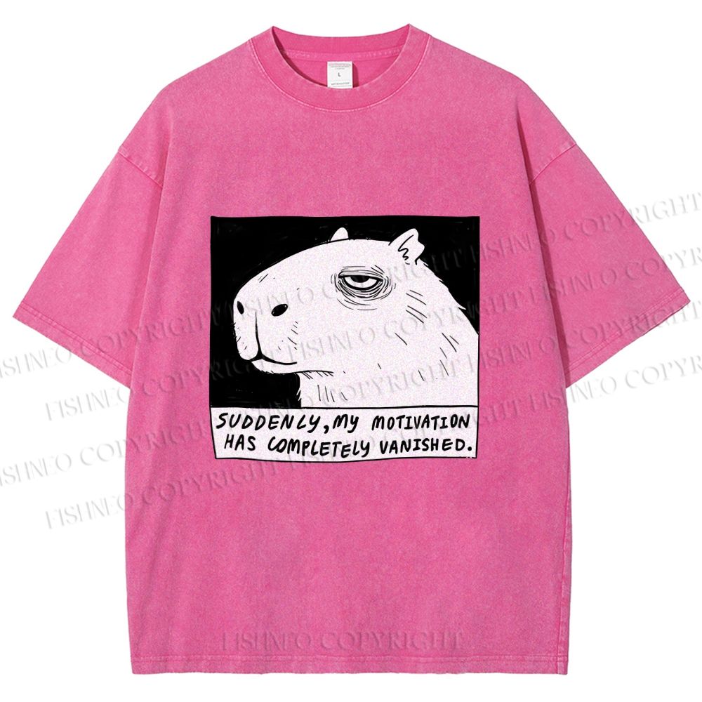 Unisex Power Has Completely Disappeared Printed Washed Tee