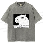 Unisex Power Has Completely Disappeared Printed Washed Tee