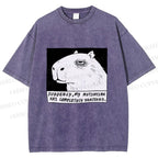 Unisex Power Has Completely Disappeared Printed Washed Tee