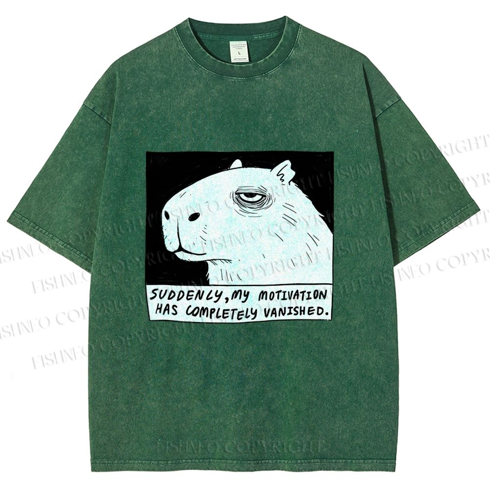 Unisex Power Has Completely Disappeared Printed Washed Tee