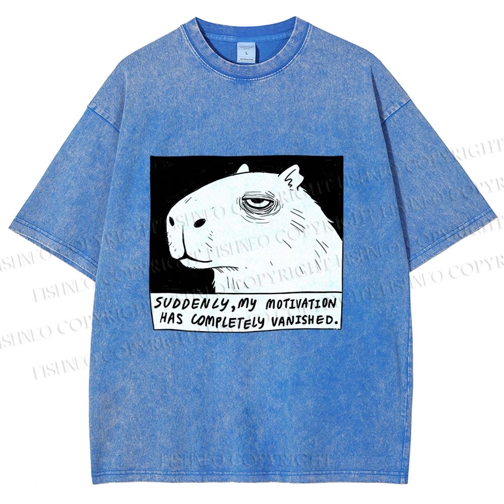 Unisex Power Has Completely Disappeared Printed Washed Tee