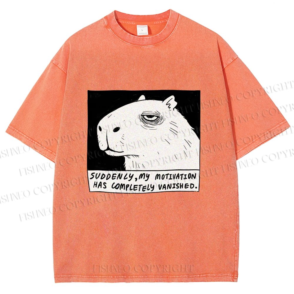Unisex Power Has Completely Disappeared Printed Washed Tee