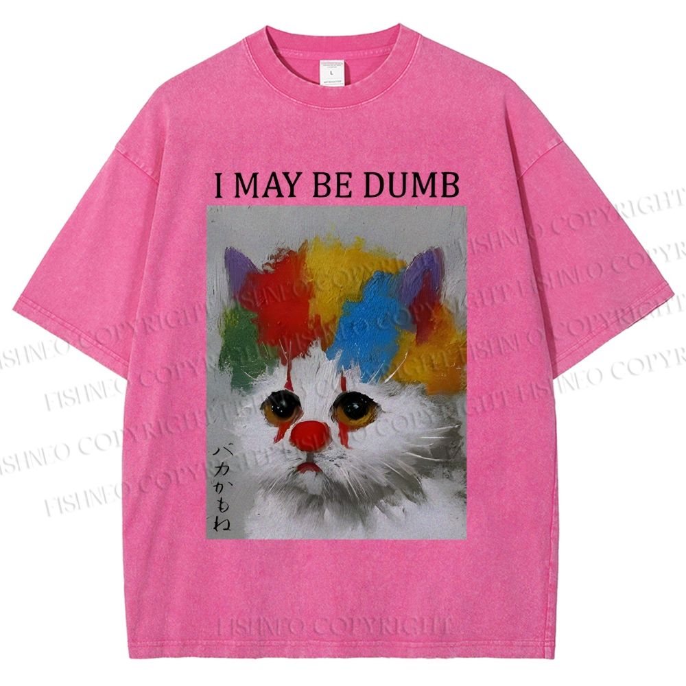 Unisex Clown Cat May Be Dumb Printed Washed Tee