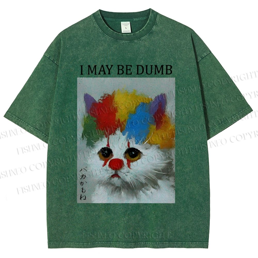 Unisex Clown Cat May Be Dumb Printed Washed Tee