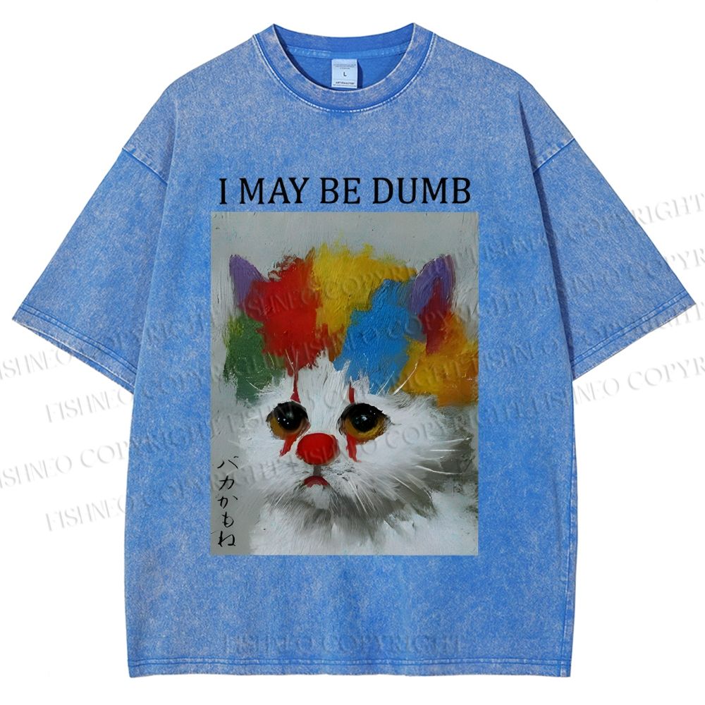 Unisex Clown Cat May Be Dumb Printed Washed Tee