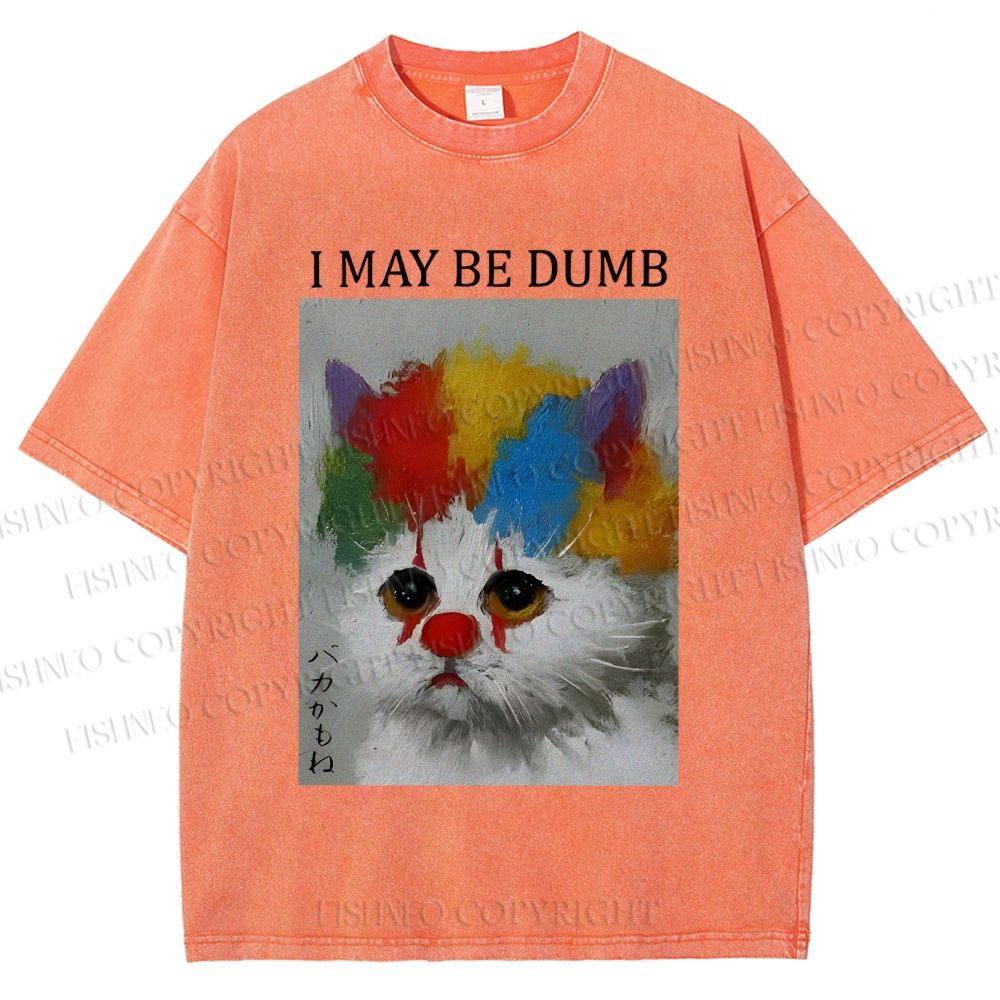 Unisex Clown Cat May Be Dumb Printed Washed Tee