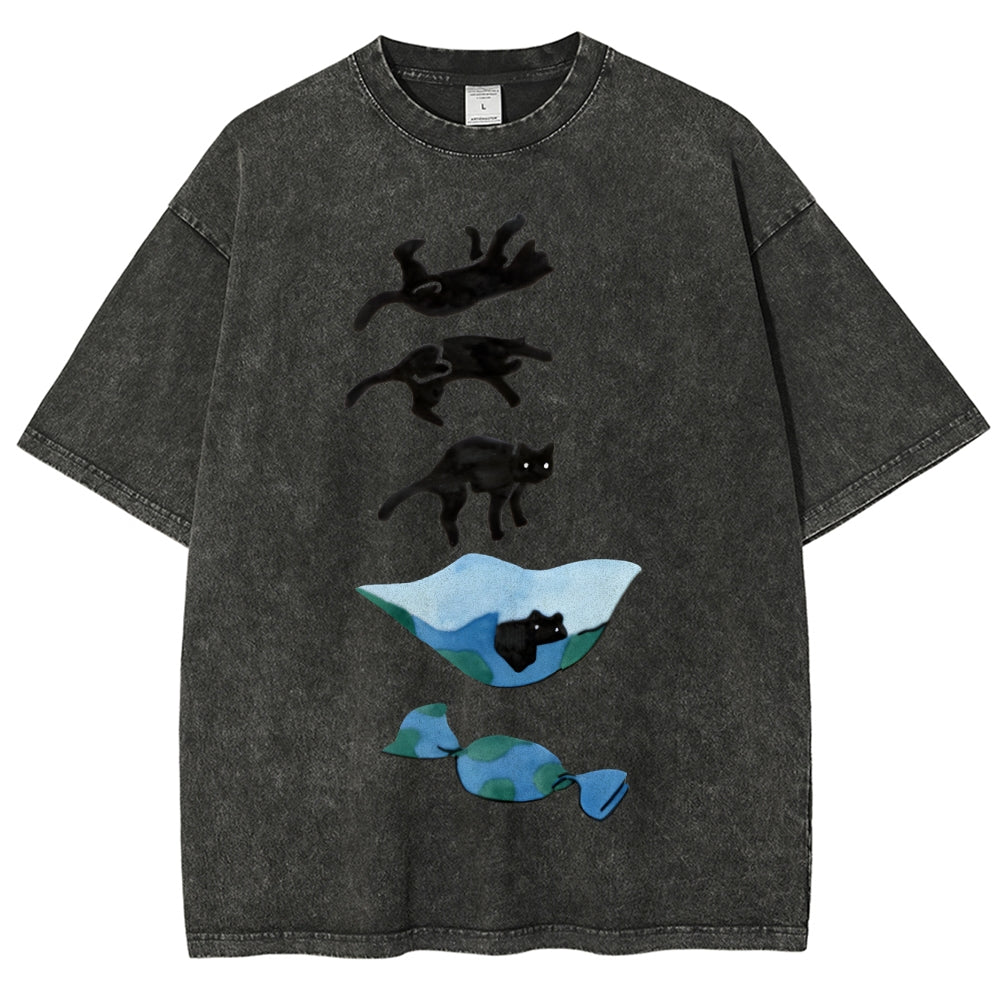 Cat Landing Washed Vintage Short Sleeves T-Shirt