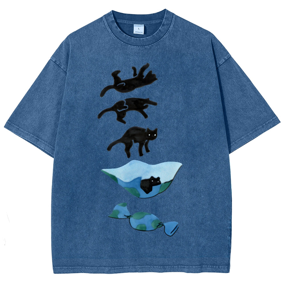 Cat Landing Washed Vintage Short Sleeves T-Shirt