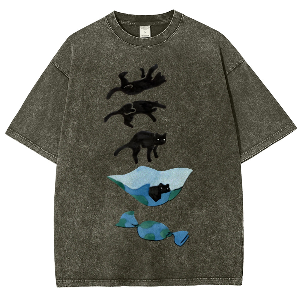 Cat Landing Washed Vintage Short Sleeves T-Shirt