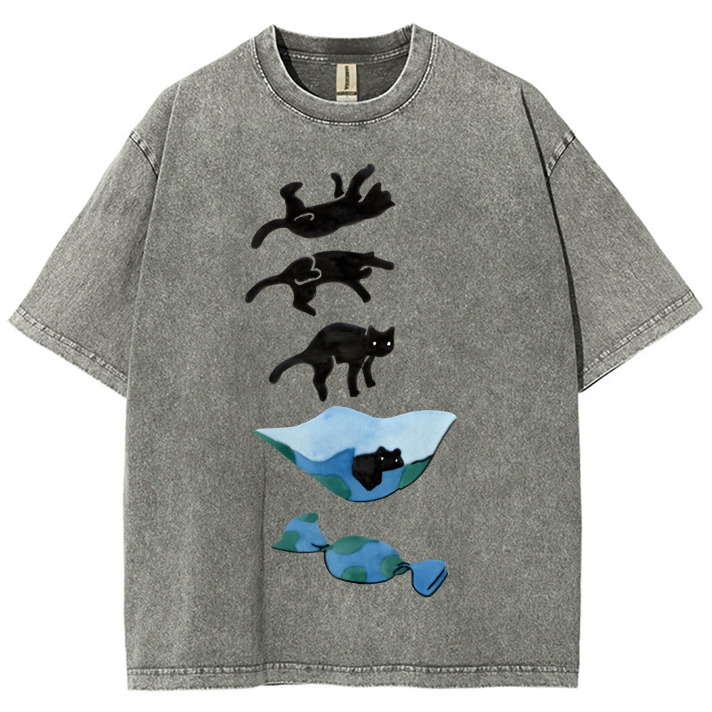 Cat Landing Washed Vintage Short Sleeves T-Shirt