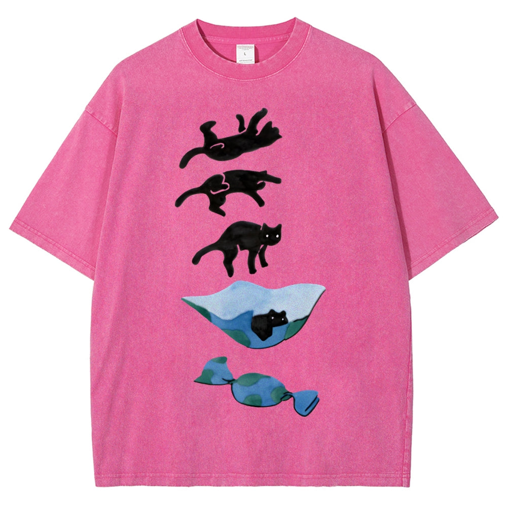 Cat Landing Washed Vintage Short Sleeves T-Shirt