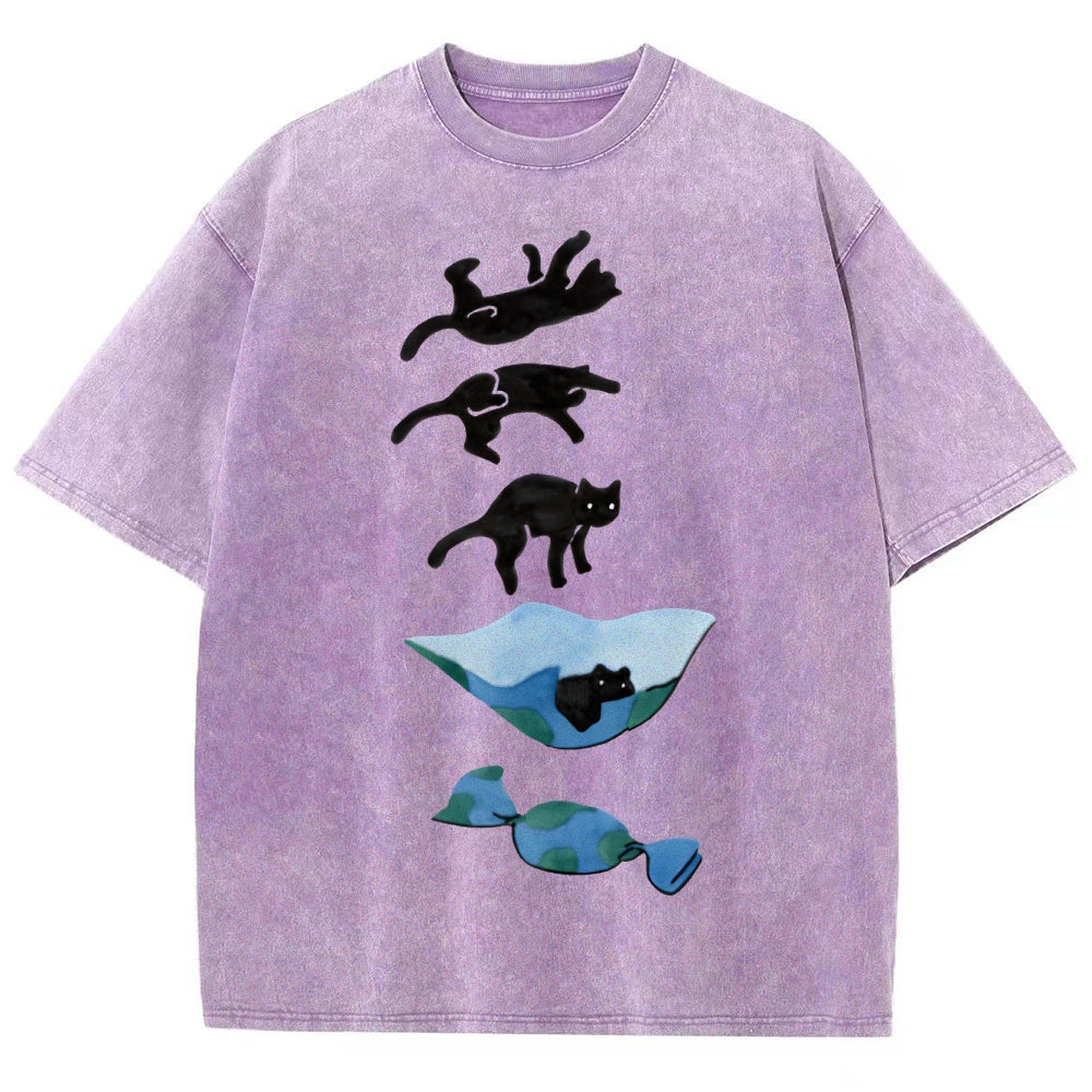 Cat Landing Washed Vintage Short Sleeves T-Shirt