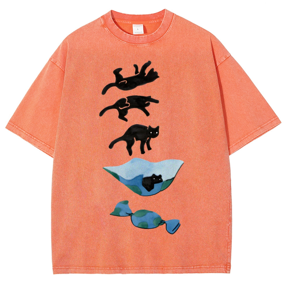 Cat Landing Washed Vintage Short Sleeves T-Shirt