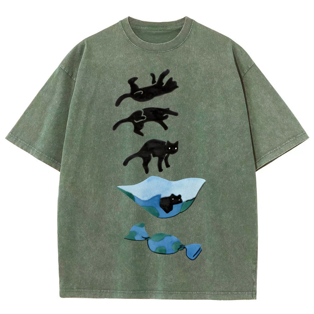 Cat Landing Washed Vintage Short Sleeves T-Shirt