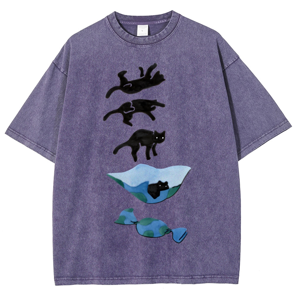 Cat Landing Washed Vintage Short Sleeves T-Shirt