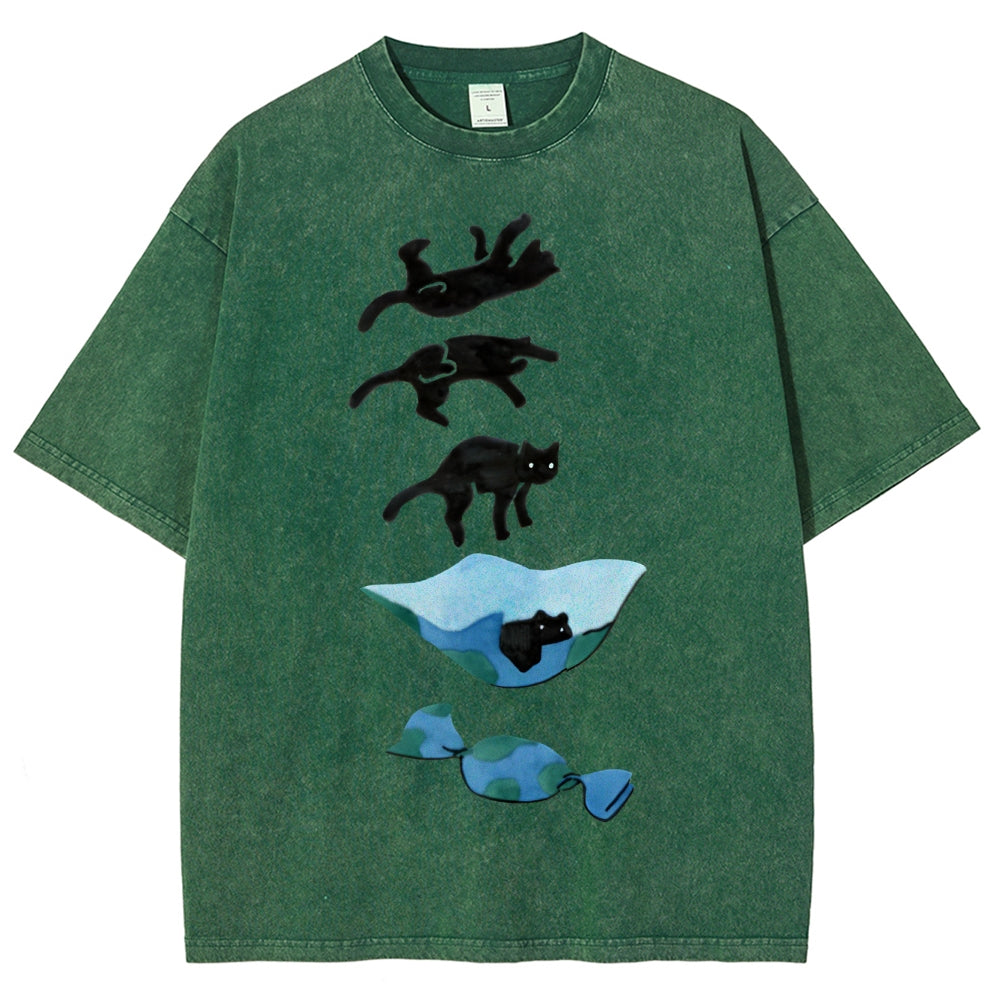 Cat Landing Washed Vintage Short Sleeves T-Shirt