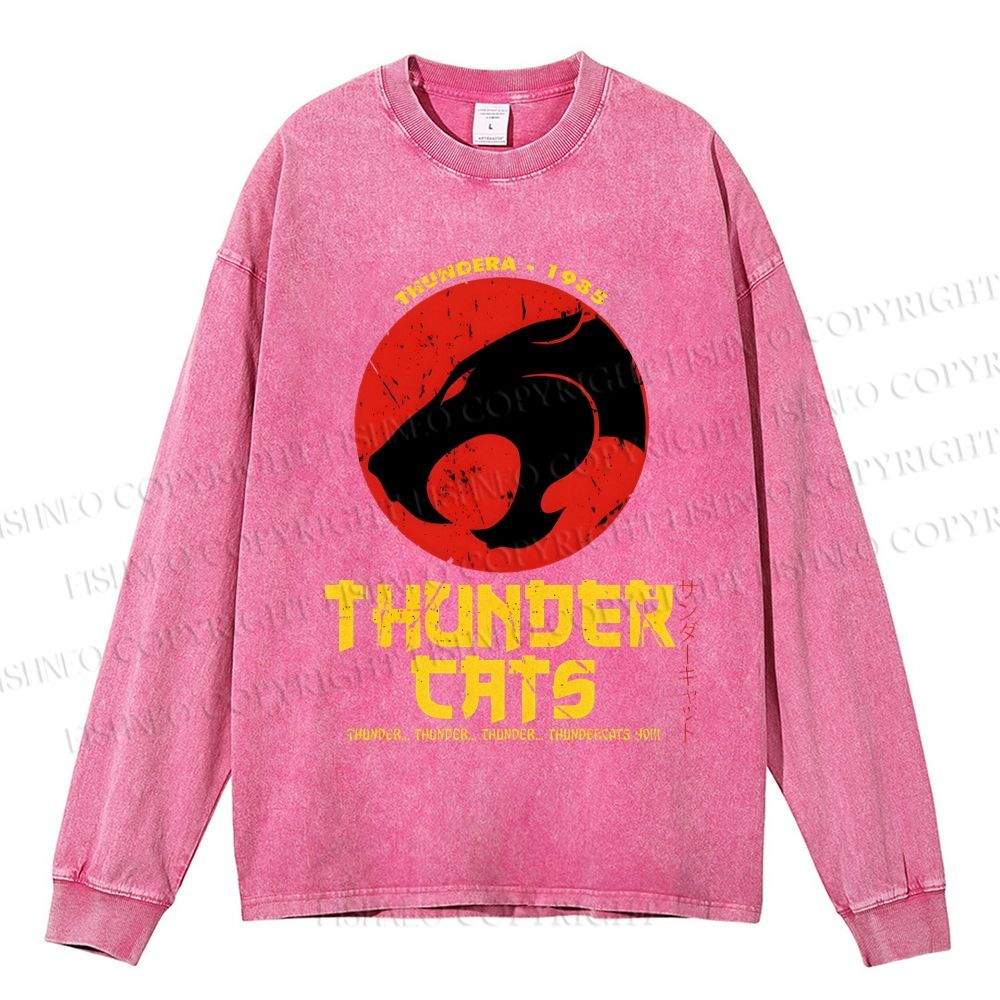Unisex Casual Washed ThunderCats Printed Long Sleeve T-shirt