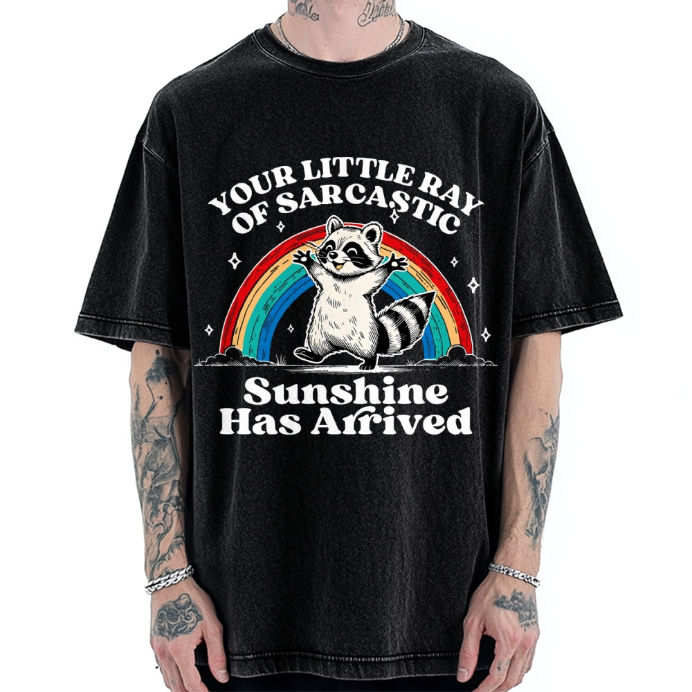 Your Little Ray of Sarcastic Sunshine Has Arrived Vintage Washed T-shirt
