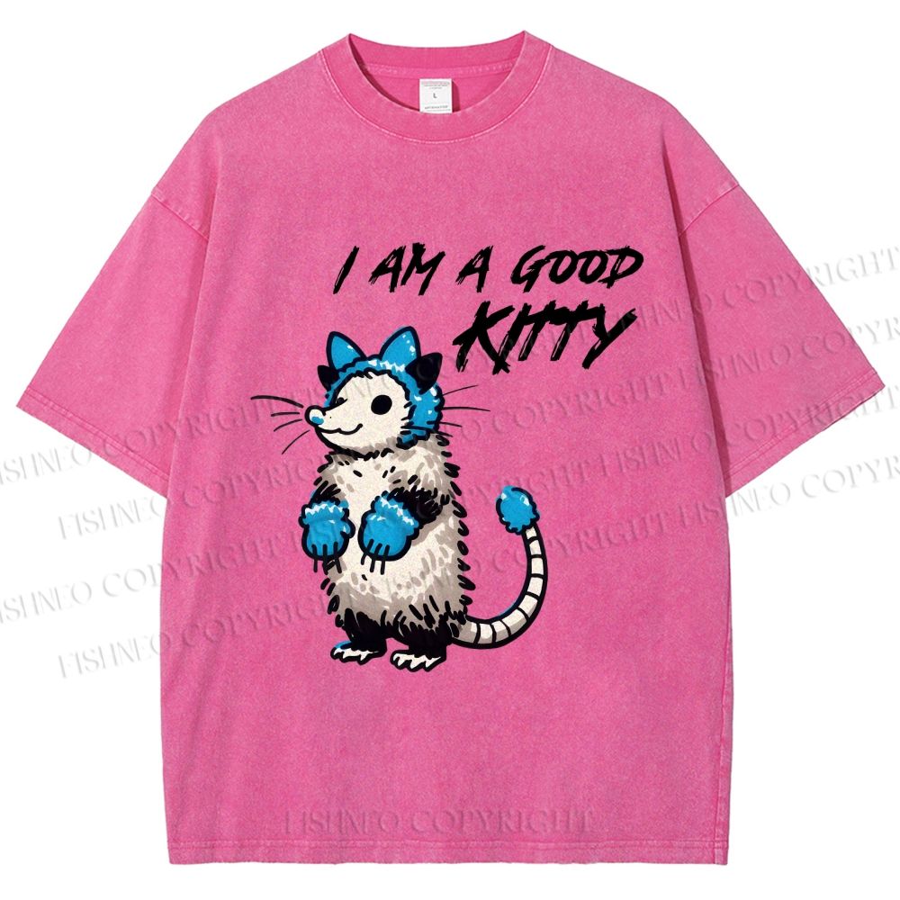 Unisex I Am A Good Kitty Opossum Printed Washed Tee