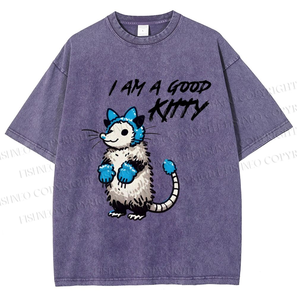 Unisex I Am A Good Kitty Opossum Printed Washed Tee