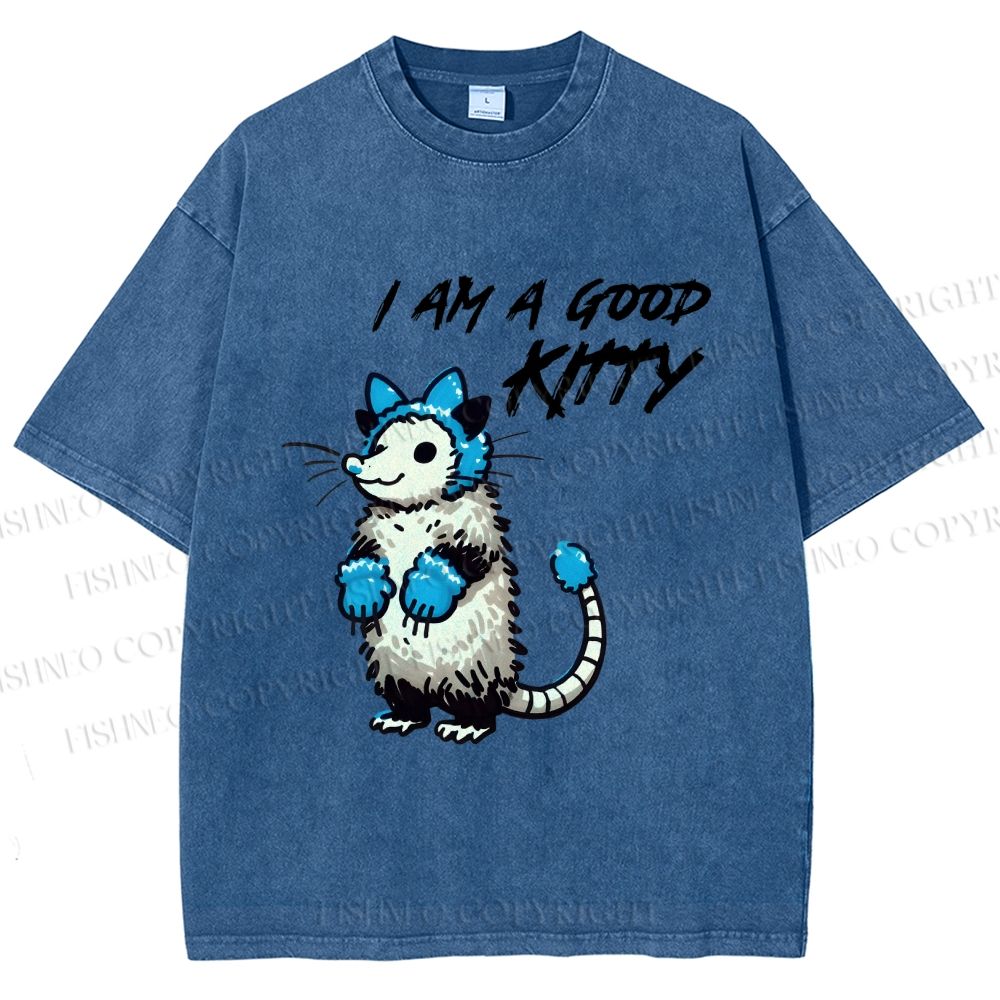 Unisex I Am A Good Kitty Opossum Printed Washed Tee