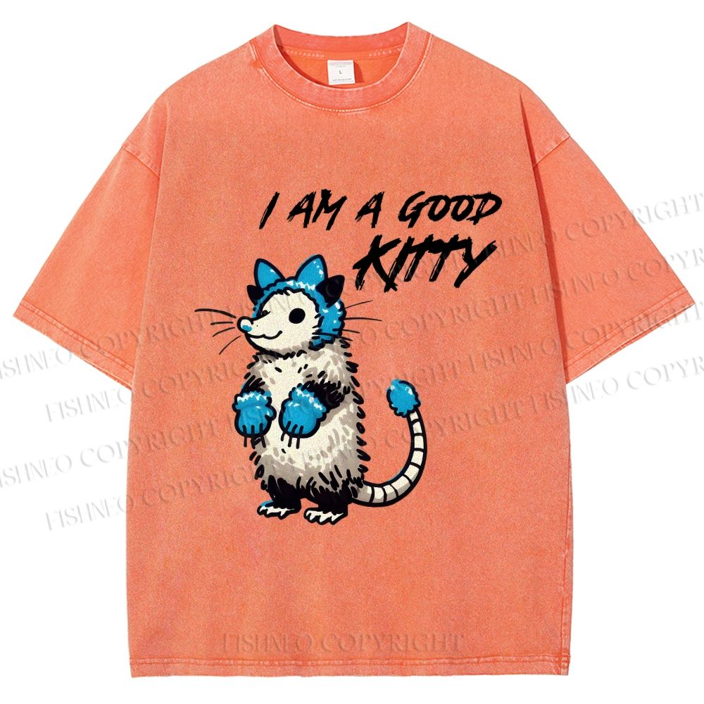Unisex I Am A Good Kitty Opossum Printed Washed Tee