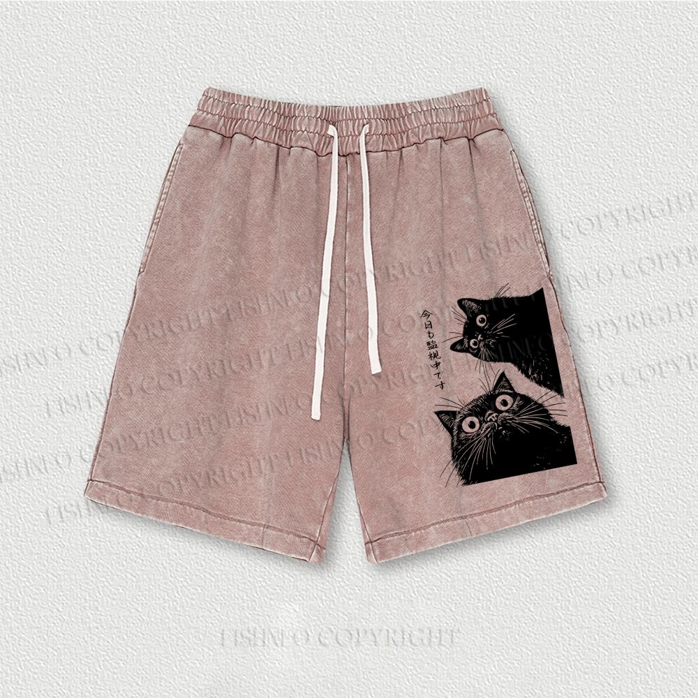 The Cat is Watching Today Washed Vintage Shorts