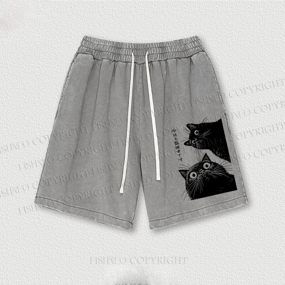The Cat is Watching Today Washed Vintage Shorts