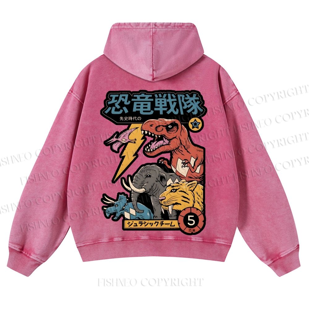 Dino Sentai Japanese Casual Washed Hoodie