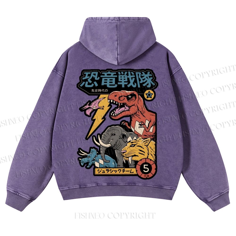 Dino Sentai Japanese Casual Washed Hoodie