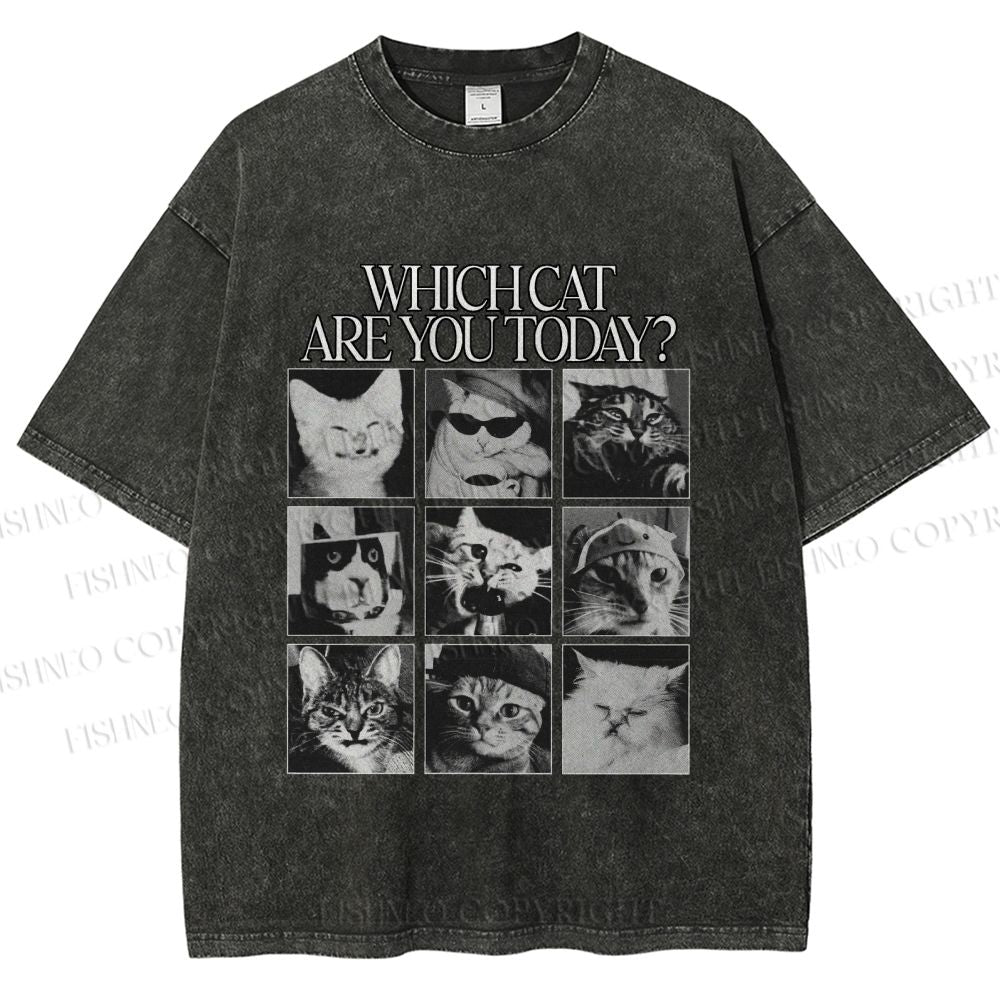 Unisex Which Cat Are You Today Printed Washed Tee