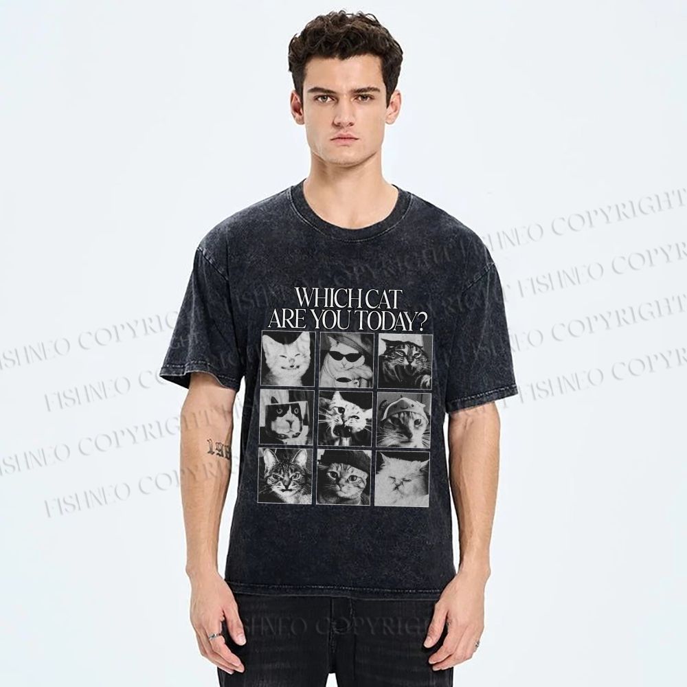 Unisex Which Cat Are You Today Printed Washed Tee