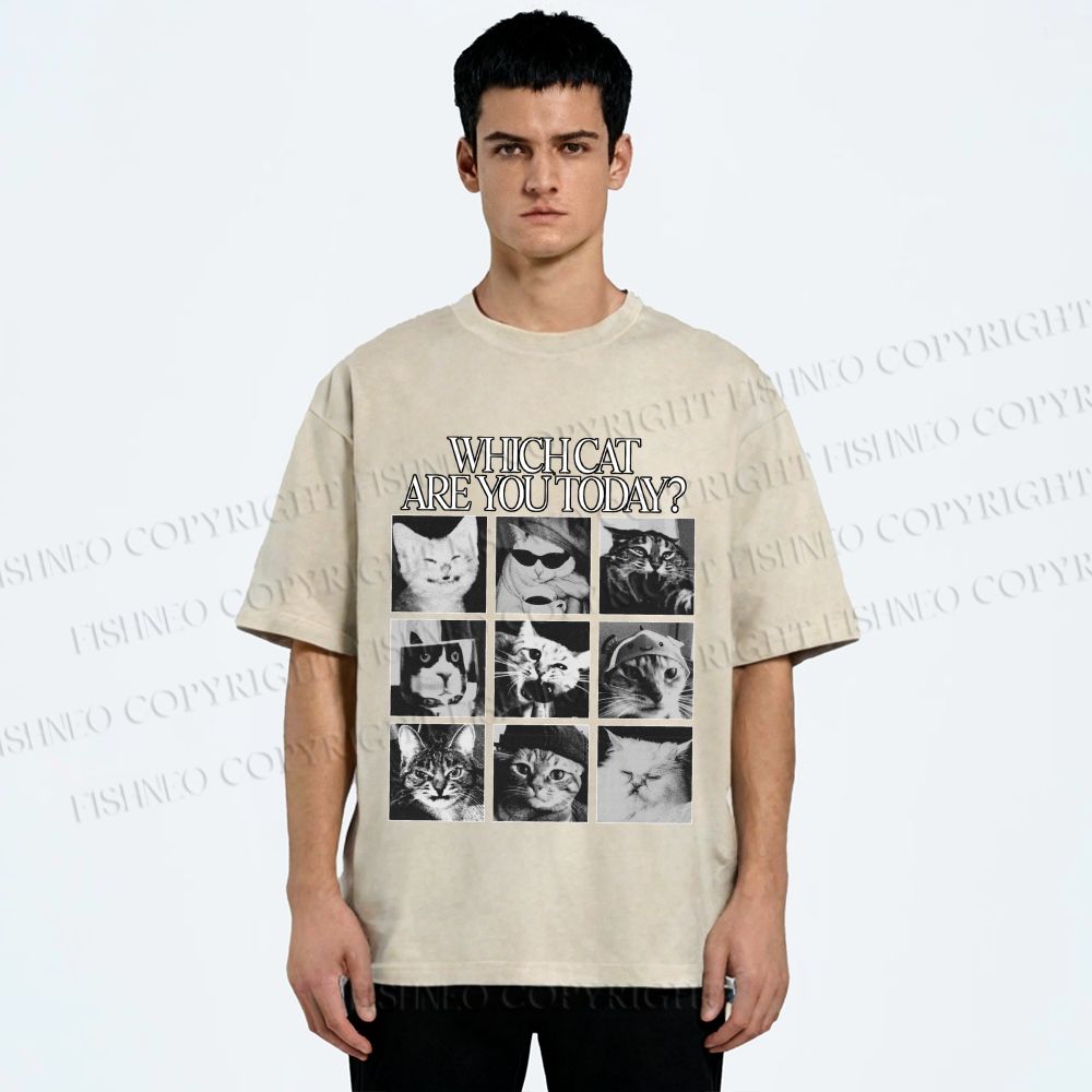 Unisex Which Cat Are You Today Printed Washed Tee